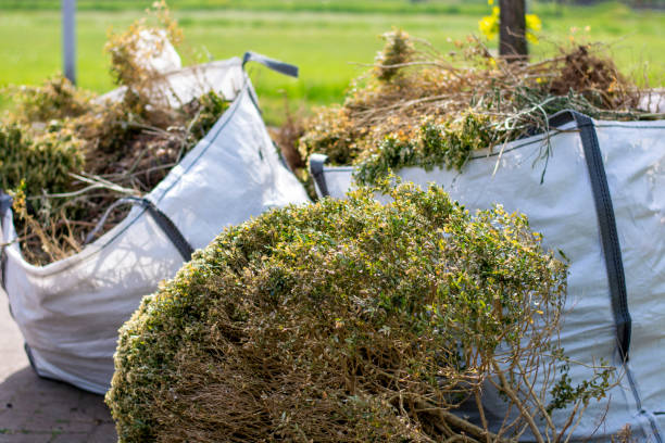 Best Professional Junk Removal  in Ely, MN