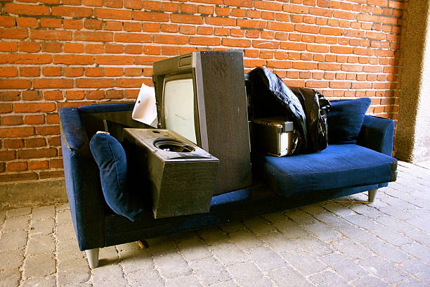 Best Estate Cleanout Services  in Ely, MN