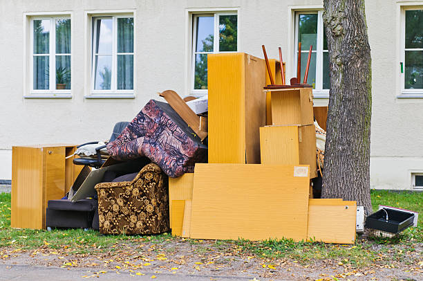 Best Office Junk Removal  in Ely, MN