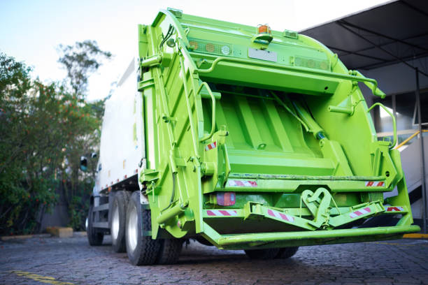 Best Basement Cleanout Services  in Ely, MN