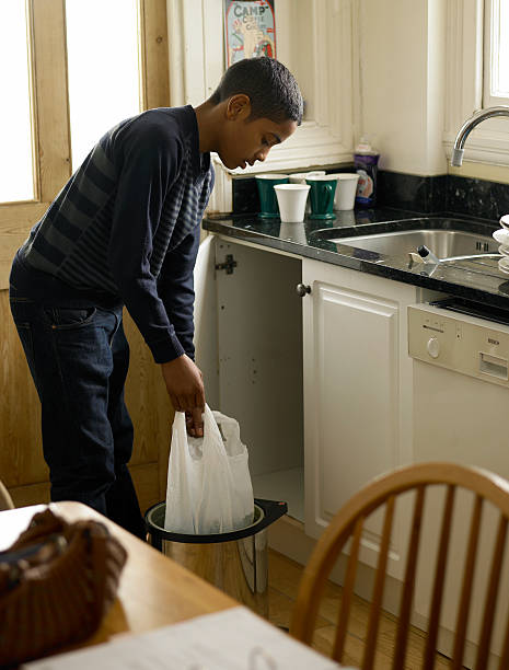 Best Full-Service Junk Removal  in Ely, MN